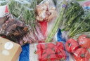 【ふるさと納税】みのかも野菜セット(春(3・4・5月)、秋(9・10・11月)2回)