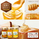 【ふるさと納税】100%国産岐阜の豊かな自然で取れた東濃のはちみつ 500g各3種 計1500g(ギフトセット) ≪土岐市≫ 天然 国産 非加熱 [MAB001...
