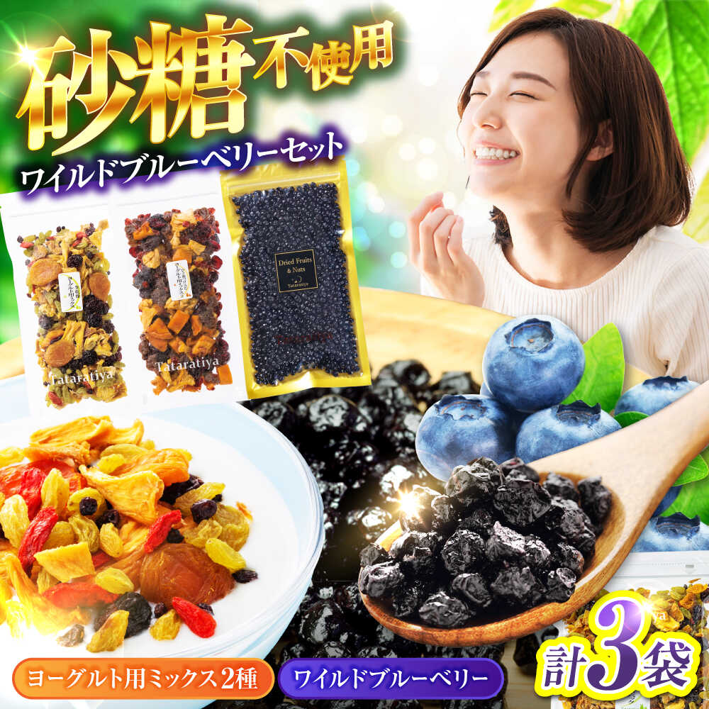 【ふるさと納税】ワイルドブルーベリー 200g セットB (ヨーグルト用ミックス)【多々楽達屋】tataratiya ドライフルーツ ポリフェノール [MAD034]