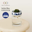 6位! 口コミ数「0件」評価「0」【美濃焼】SaiSui Blue（染果実）植物付き【大東亜窯業】インテリア 雑貨 観葉植物 [MAG069]