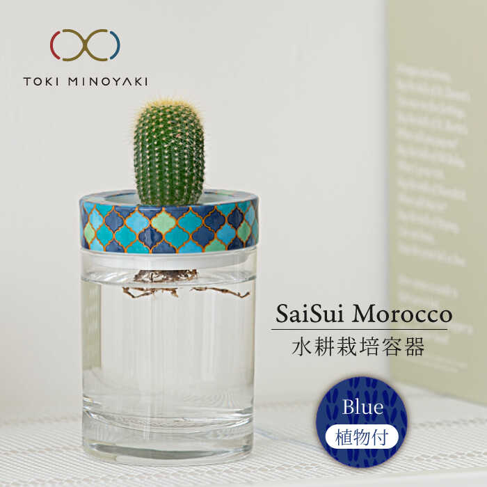 ڤդ뤵ǼǡۡǻơSaiSui MoroccoBlue˿ʪդ찡Ҷȡۥƥꥢ  տʪ [MAG071]