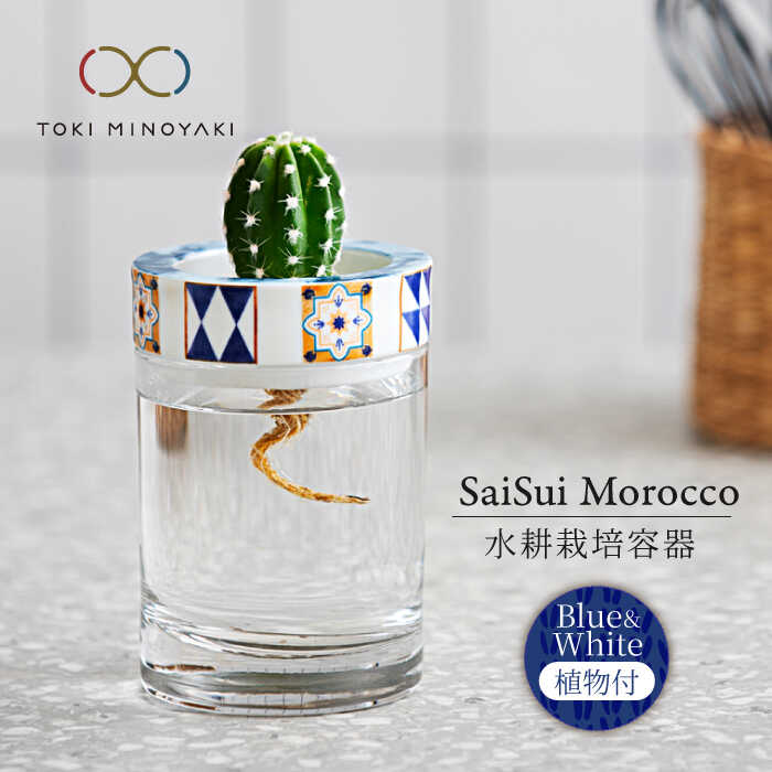 ڤդ뤵ǼǡۡǻơSaiSui MoroccoBlueWhite˿ʪդ찡Ҷȡۥƥꥢ  տʪ [MAG07...