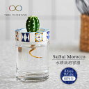 25位! 口コミ数「0件」評価「0」【美濃焼】SaiSui Morocco（Blue＆White）植物付き【大東亜窯業】インテリア 雑貨 観葉植物 [MAG072]