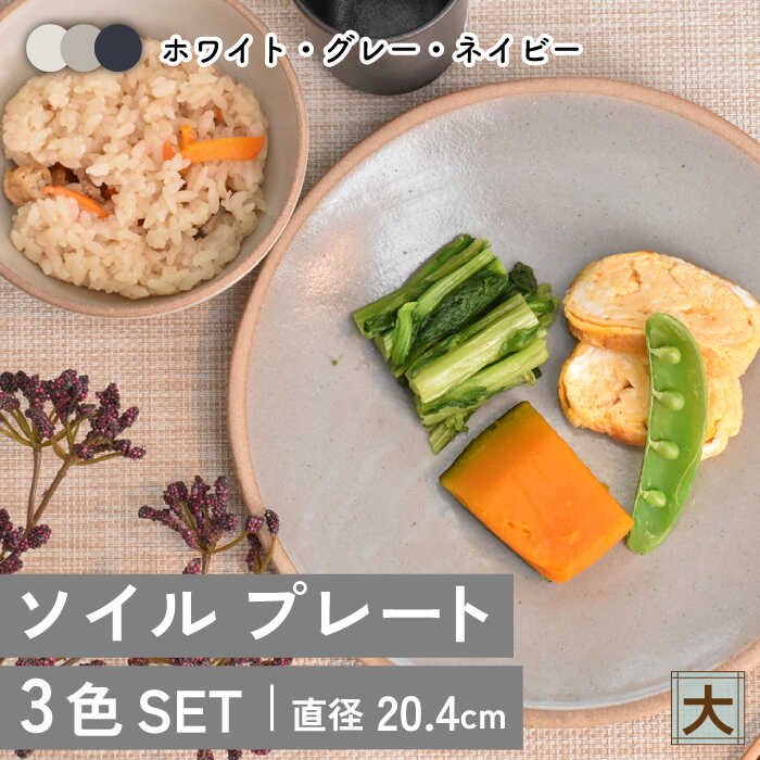 [美濃焼]ソイル プレート(大)3色セット[金正陶器]皿 大皿 食器≪土岐市≫ 