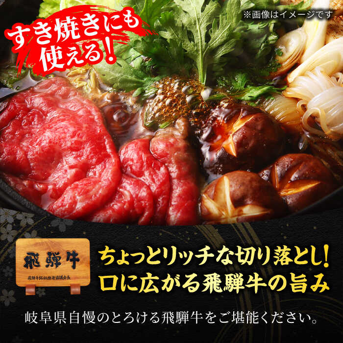 【ふるさと納税】A5ランク 飛騨牛 切り落とし 500g(250g×2) 【有限会社マルゴー】牛肉 飛騨牛 土岐市[MBE002]