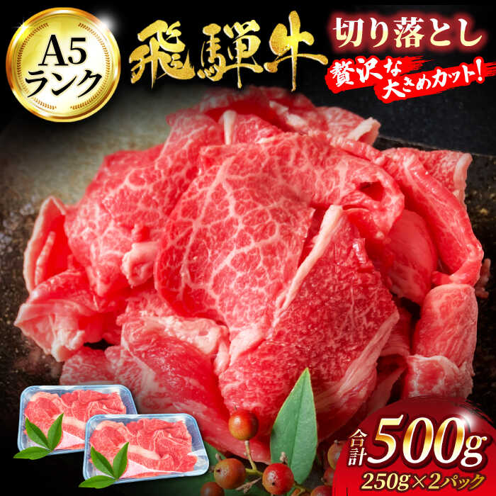 【ふるさと納税】A5ランク 飛騨牛 切り落とし 500g(250g×2) 【有限会社マルゴー】牛肉 飛騨牛 土岐市[MBE002]