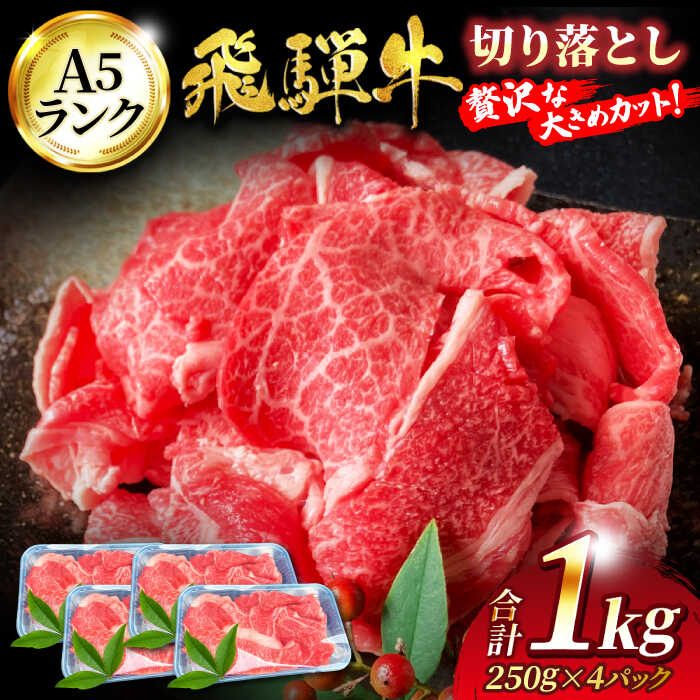 【ふるさと納税】A5ランク 飛騨牛 切り落とし 1kg(250g×4)【有限会社マルゴー】牛肉 飛騨牛 土岐市 [MBE003]