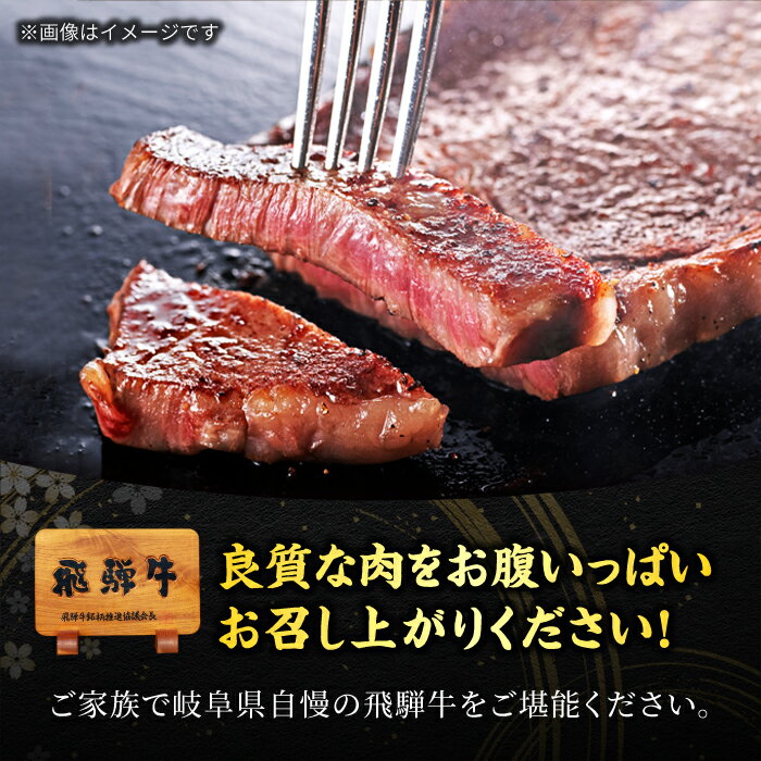 【ふるさと納税】A5ランク 岐阜県産 飛騨牛 サーロイン 400g×2枚 計800g ステーキ用【有限会社マルゴー】 [MBE020]