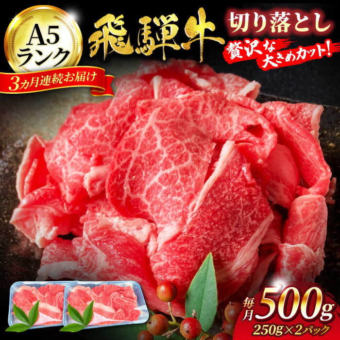 [3回定期便]A5ランク 飛騨牛 切り落とし 500g(250g×2)総計1.5kg[有限会社マルゴー]