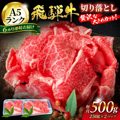 【6回定期便】A5ランク 飛騨牛切り落とし 500g（250g×2）総計3kg【有限会社マルゴー】[MBE030]