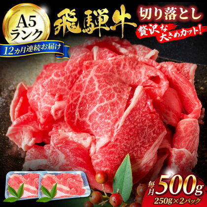 【12回定期便】A5ランク 飛騨牛切り落とし500g（250g×2）総計6kg【有限会社マルゴー】[MBE031]