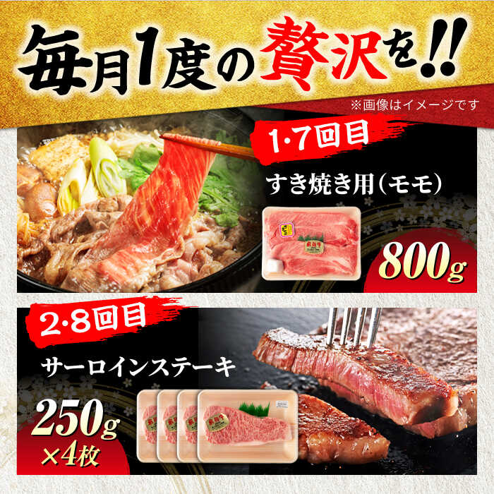 �ڤդ뤵��Ǽ�ǡۡ�12������ء�1ǯ�֤��Ϥ����� A5��� ���͵� ��������إ����� ����9.4kg ������ �����䤭�� ���ơ����ѡ�ͭ�²�ҥޥ르����[MBE038]