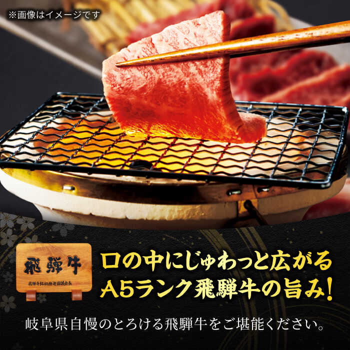 【ふるさと納税】A5ランク 飛騨牛 焼肉用 6種食べ比べセット 計600g【有限会社マルゴー】[MBE041] f212121-toki-10001537 岐阜県土岐市 サンプル画像2