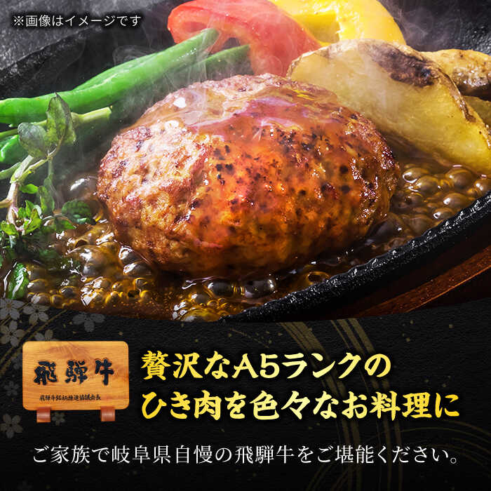 【ふるさと納税】＜A5ランク＞飛騨牛100％ミンチ800g（400g×2）【有限会社マルゴー】牛肉 和牛 国産 [MBE054]