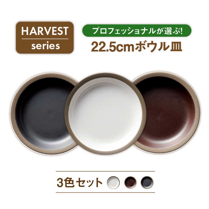 【ふるさと納税】【美濃焼】HARVEST 22.5cmカレースパゲティボウル 3色セット（光洋陶器）【cierto】食器 皿 大皿 [MCD003]