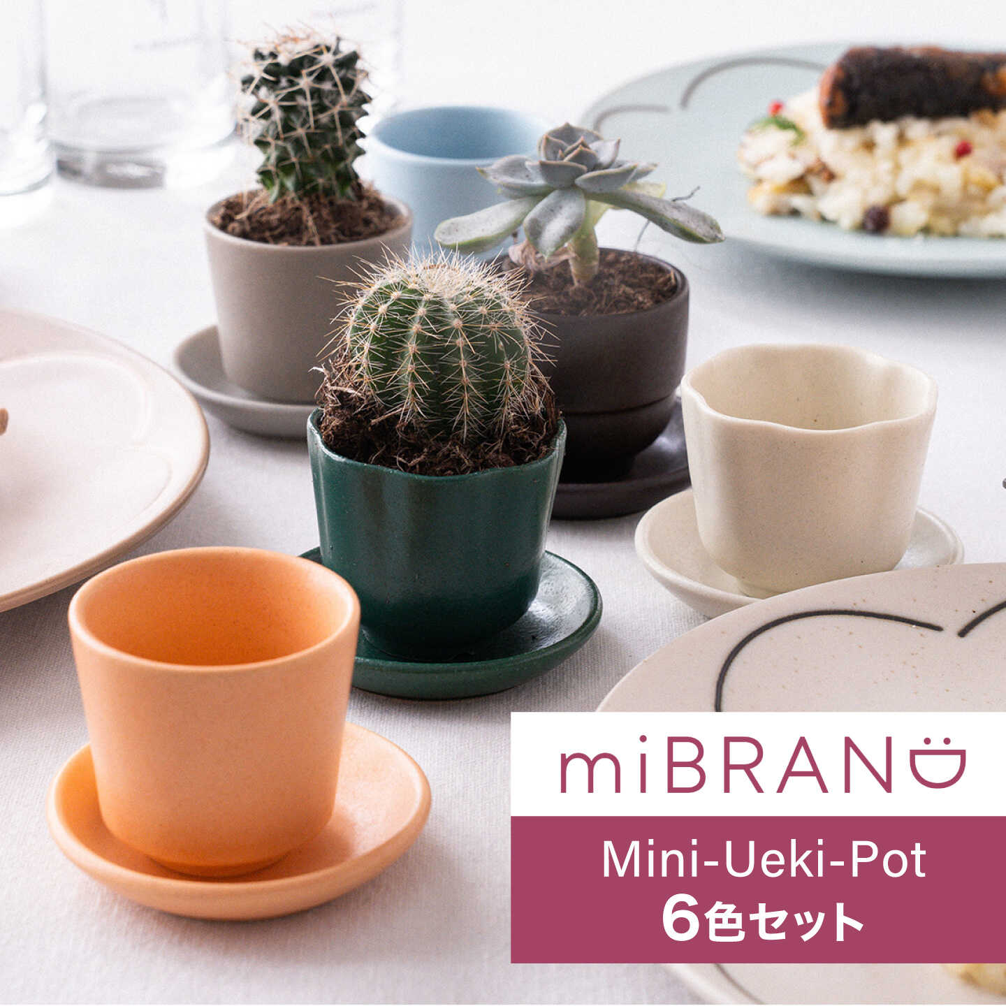 [美濃焼]miBRAND Mini-Ueki-Pot 植木鉢[6色セット]ポット 鉢 植物