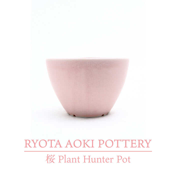 [美濃焼]桜 Plant Hunter Pot[RYOTA AOKI POTTERY/青木良太]/ 陶芸家 プランター インテリア 