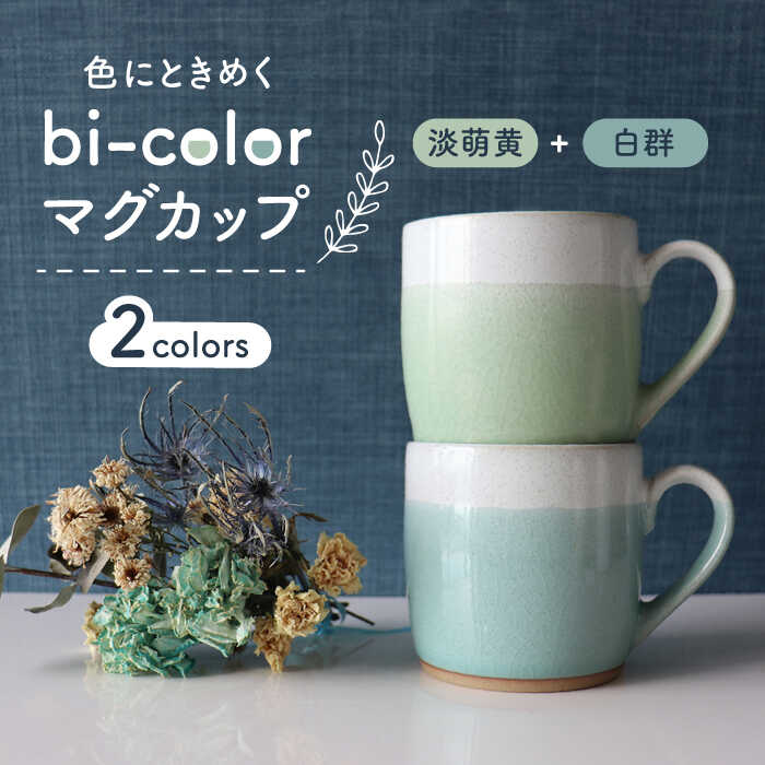 【美濃焼】bi-color マグカップ 2色セット (淡萌黄・白群)【山二製陶所】≪土岐市≫ 食器 コーヒーカップ ティーカップ [MDA008]