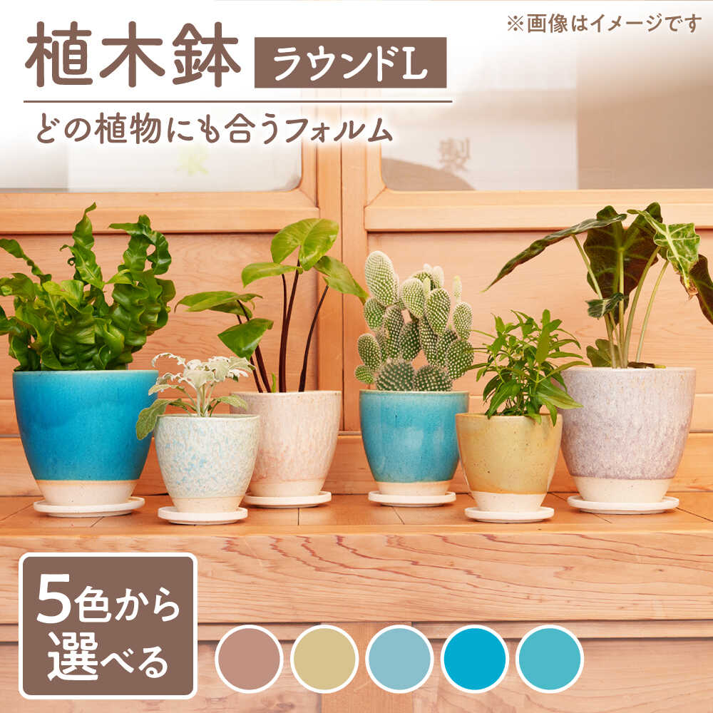 乐天商城 - 【ふるさと納税】色が選べる【美濃焼】植木鉢 ラウンドL ピンク【BIJINTOUKI/美人窯】 植物 サイズ おしゃれ 受け皿[MDF031]