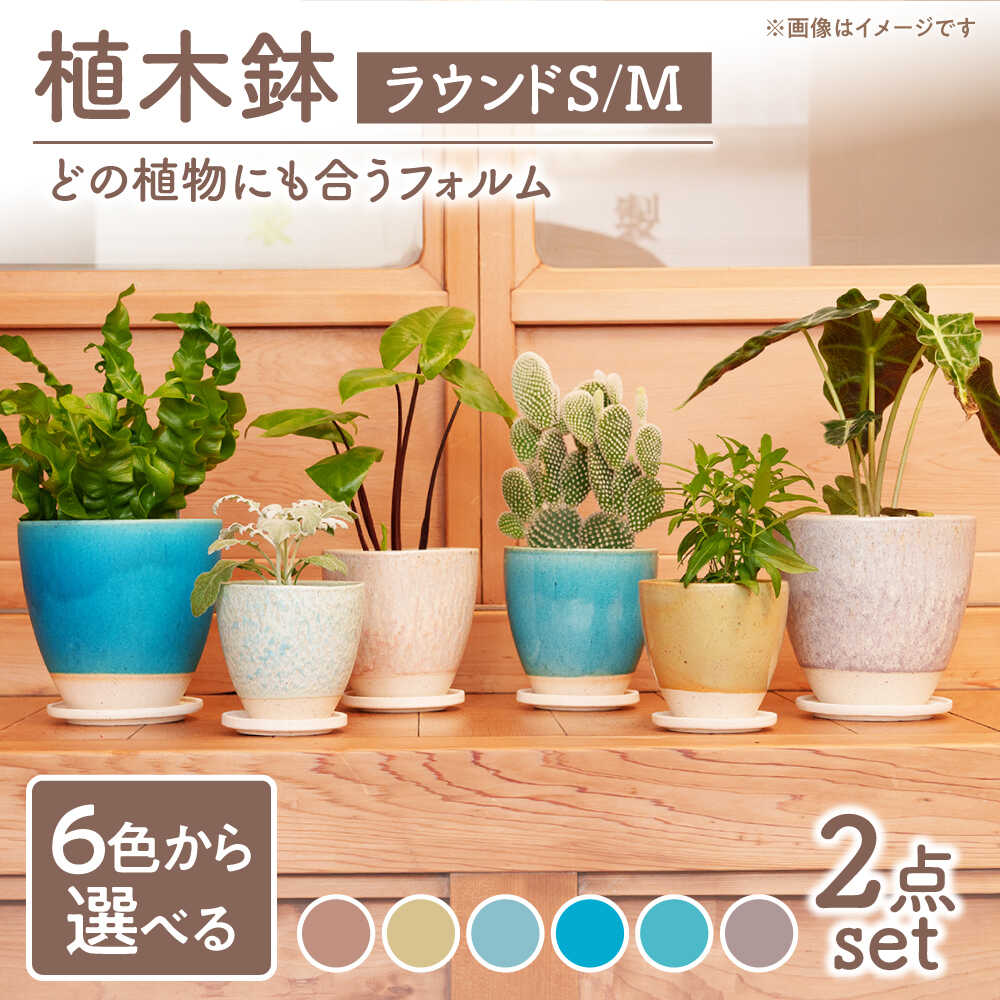 樂天商城 - 【ふるさと納税】【美濃焼】色が選べる 植木鉢 ラウンドS,M【BIJINTOUKI/美人窯】 植物 サイズ おしゃれ 受け皿[MDF036]