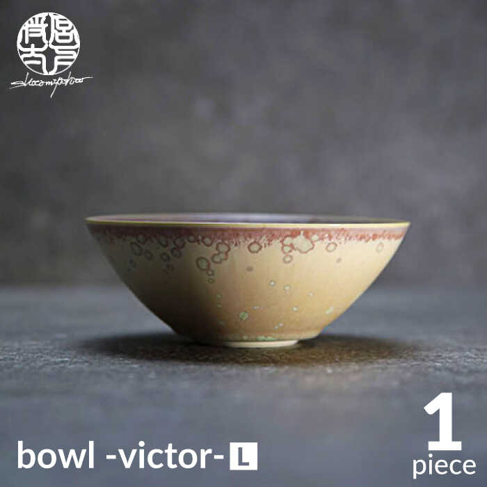 【ふるさと納税】【美濃焼】bowl -victor- L【陶芸家 宮下将太】食器 鉢 ボウル MDL030