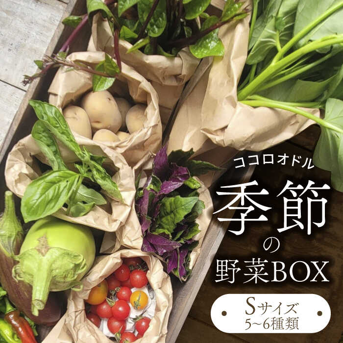 季節の野菜BOX Sサイズ (5〜6種類)[Farm Regalo]旬野菜 冷蔵 おまかせ 