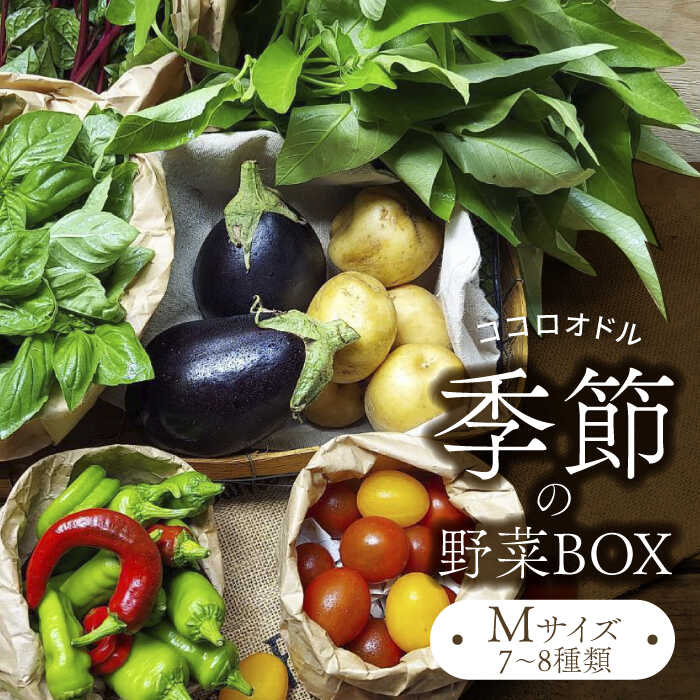 14位! 口コミ数「0件」評価「0」季節の野菜BOX Mサイズ （7～8種類）【Farm Regalo】旬野菜 冷蔵 おまかせ [MDU002]