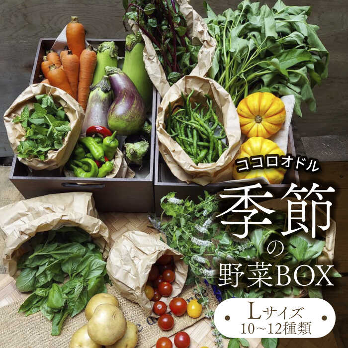 山からの湧水と最先端の有機肥料（微生物肥料）を使い、農薬不使用※1で栽培した野菜やハーブを詰め合わせた野菜BOXです。 ・春は、ほろ苦い味が美味しい菜花や山菜、タケノコを。 ・夏は木陰で冷やしたトマトやキュウリを頬張ってお召し上がりください。 ・秋には美味しいナスや栗、原木キノコを。 ・冬はお鍋に大根や白菜、ちょっと変わった黒キャベツを。 まず一口食べてみてください！ 飲んでみてください！ 懐かしい味、新しい味、美味しい味に出会えます。 旬の味覚をお楽しみください。 【Farm Regalo】 40年前に両親が苦労してひいてきた山からの湧き水と、母親が長年かけて育てた豊かな土壌。さらにMスタイルさんの微生物肥料を使って安心・安全はもちろん、風味豊かで美味しい野菜であり香り豊かなハーブを栽培しています。 弊園は元々高級レストランや外資系ホテル用の野菜やハーブを栽培しておりました。 コロナ禍に入りいろいろなご縁で、一般の方用の「野菜BOX」も販売していくことになりました。当初はこんなにたくさんの方に喜んでいただけると思っておらず、嬉しさと感謝の思いでいっぱいになりました。 その「野菜BOX」をふるさと納税の返礼品にしていただき、さらにたくさんの方に食べていただくことができるようになった事を、本当に嬉しく思っています。※1 農薬：栽培期間中不使用 ■内容量 季節の野菜 10〜12種類 葉物 150g〜200g前後 根菜 200g〜500g前後 ■野菜の種類 ・春 カツオイラズ、紅菜苔、わらび、タケノコ、コシアブラ、葉ワサビ他の山菜 など ・夏 キュウリ、トマト、ナス、空芯菜、ツルムラサキ、金時草 など ・秋 秋ナス、アキシマささげ、桑の木豆、サトイモ、サツマイモ、キノコ など ・冬 白菜、黒キャベツ、ちぢみほうれん草、ブロッコリー、カリフラワー、ロマネスコ など ■季節のハーブ 1〜2種 10g〜20g前後 1〜6月、10〜12月 ベビーリーフ 【賞味期限】 発送から5日以内（生ものですので到着後なるべく早くお召し上がりください） #/野菜・卵/野菜/ #/全商品/＼必ずご確認ください／ ※アレルギーについて※ 本商品には、落花生・カシューナッツなどのナッツ類や、やまいも、キウイフルーツなど、特定原材料28商品に該当するアレルギー品目を含む可能性があります。 寄附申込時にご申告いただければ、該当品を含まずにお品物をお届けすることが可能です。 アレルギーをお持ちの方は、申込フォームの“お届け日時変更”→その他のご要望欄”に該当するアレルギー品目を記載 いただきますよう、お願いいたします。 山からの湧水と最先端の有機肥料（微生物肥料）を使い、農薬不使用※1で栽培した野菜やハーブを詰め合わせた野菜BOXです。 ・春は、ほろ苦い味が美味しい菜花や山菜、タケノコを。 ・夏は木陰で冷やしたトマトやキュウリを頬張ってお召し上がりください。 ・秋には美味しいナスや栗、原木キノコを。 ・冬はお鍋に大根や白菜、ちょっと変わった黒キャベツを。 まず一口食べてみてください！ 飲んでみてください！ 懐かしい味、新しい味、美味しい味に出会えます。 旬の味覚をお楽しみください。 【Farm Regalo】 40年前に両親が苦労してひいてきた山からの湧き水と、母親が長年かけて育てた豊かな土壌。さらにMスタイルさんの微生物肥料を使って安心・安全はもちろん、風味豊かで美味しい野菜であり香り豊かなハーブを栽培しています。 弊園は元々高級レストランや外資系ホテル用の野菜やハーブを栽培しておりました。 コロナ禍に入りいろいろなご縁で、一般の方用の「野菜BOX」も販売していくことになりました。当初はこんなにたくさんの方に喜んでいただけると思っておらず、嬉しさと感謝の思いでいっぱいになりました。 その「野菜BOX」をふるさと納税の返礼品にしていただき、さらにたくさんの方に食べていただくことができるようになった事を、本当に嬉しく思っています。 ※1 農薬：栽培期間中不使用 サイズ違いもございます 季節の野菜BOX Sサイズ （5〜6種類）【Farm Regalo】 季節の野菜BOX Mサイズ （7〜8種類）【Farm Regalo】 商品説明 名称季節の野菜BOX Lサイズ （10〜12種類）【Farm Regalo】 内容量■内容量 季節の野菜 10〜12種類 葉物 150g〜200g前後 根菜 200g〜500g前後 ■野菜の種類 ・春 カツオイラズ、紅菜苔、わらび、タケノコ、コシアブラ、葉ワサビ他の山菜 など ・夏 キュウリ、トマト、ナス、空芯菜、ツルムラサキ、金時草 など ・秋 秋ナス、アキシマささげ、桑の木豆、サトイモ、サツマイモ、キノコ など ・冬 白菜、黒キャベツ、ちぢみほうれん草、ブロッコリー、カリフラワー、ロマネスコ など ■季節のハーブ 1〜2種 10g〜20g前後 1〜6月、10〜12月 ベビーリーフ 賞味期限 発送から5日以内（生ものですので到着後なるべく早くお召し上がりください） アレルギー表示含んでいる品目：落花生、カシューナッツ、やまいも、キウイフルーツ 配送方法冷蔵 配送期日2週間以内 提供事業者Farm Regalo 旬野菜 冷蔵 おまかせ 詰め合わせ セット 料理 春野菜 夏野菜 秋野菜 冬野菜 葉野菜 根菜 ハーブ ヘルシー 健康 新鮮 おいしい 美味しい アレルギー対応 送料無料 #/野菜・卵/野菜/ #/全商品/