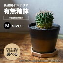 【ふるさと納税】<色と形が選べる>美濃焼 インテリア 鉢 有無釉鉢 (木製鉢受け付き) Mサイズ 【山兵虎澤製陶所×ROKUROWORKS】インテリア 雑貨 植...