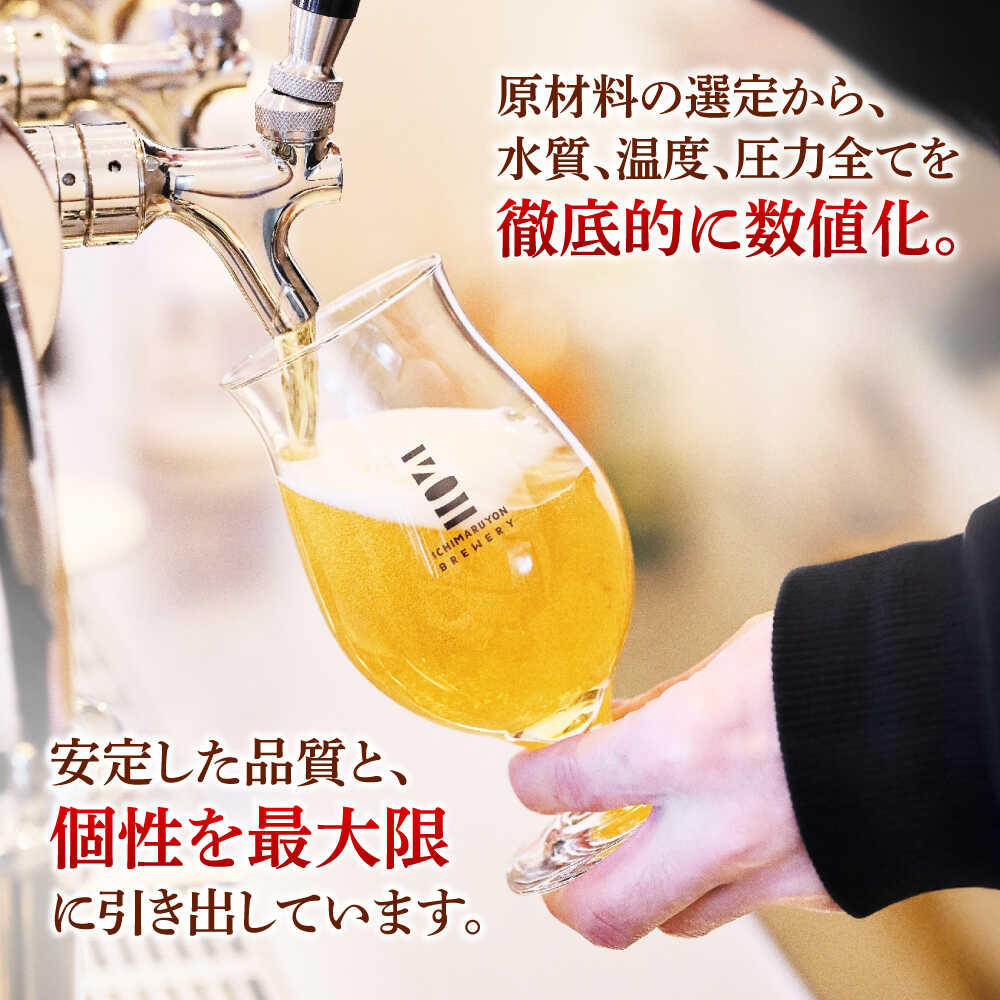 【ふるさと納税】【3回定期便】 クラフトビール 104 BREWERY 6種 飲み比べセット 330ml 全18本 【104 BREWERY】　土岐市 地ビール beer お酒[MGO002]