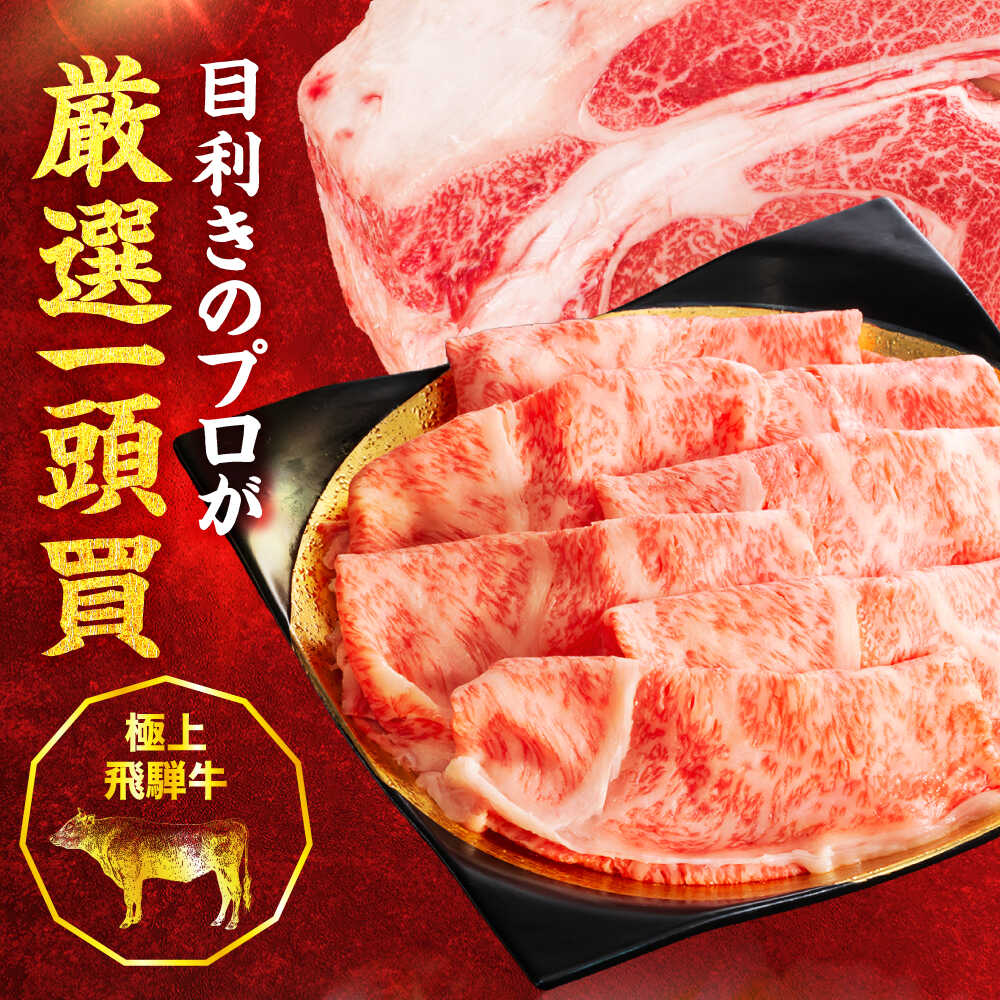 【ふるさと納税】【12回定期便】飛騨牛肩ロース 1.2kg(400g×3パック) すき焼きしゃぶしゃぶ用肉【馬力家】すき焼き しゃぶしゃぶ 肉[MHE024]