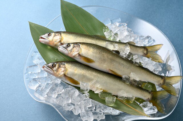 【ふるさと納税】うなぎ屋たむろの岐阜の鮎　塩焼き10尾セット（鰻蒲焼き1尾付き）【国産】