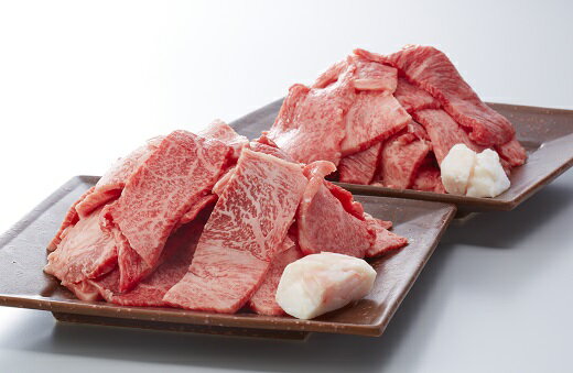【ふるさと納税】A5等級飛騨牛焼肉用1.6kg超