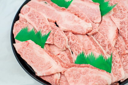 特撰飛騨牛A5等級 上カルビ(バラ) 焼肉用800g