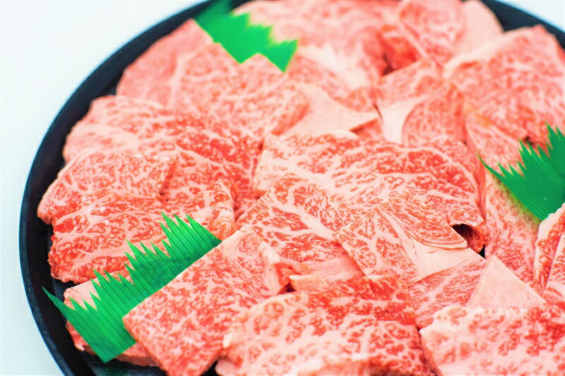 特撰飛騨牛A5等級 肩ロース・赤身 焼肉用900g[牛肉]