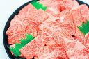 【ふるさと納税】特撰飛騨牛A5等級　肩ロース・赤身　焼肉用900g【牛肉】