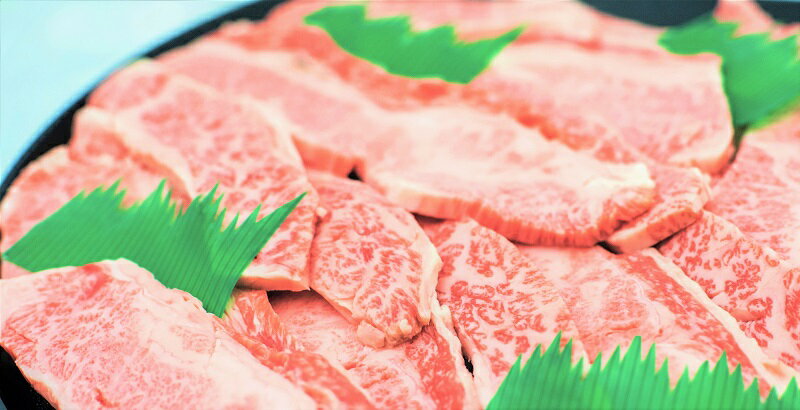 【ふるさと納税】特撰飛騨牛A5等級 上カルビ バラ 焼肉用800g【牛肉】