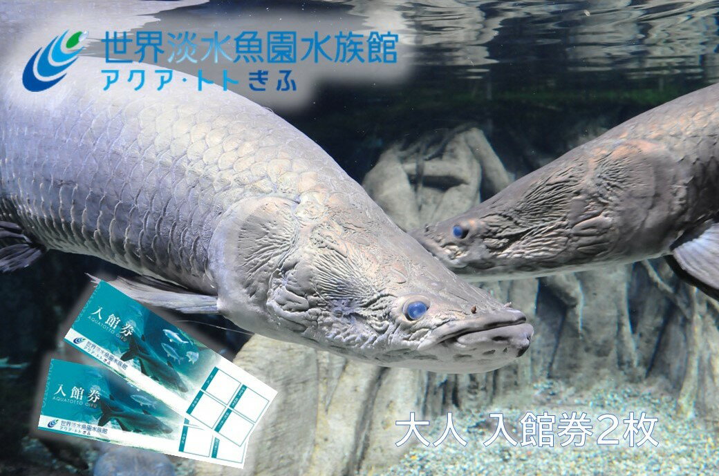 【ふるさと納税】世界淡水魚園水族館　アクア・トトぎふ　入館券