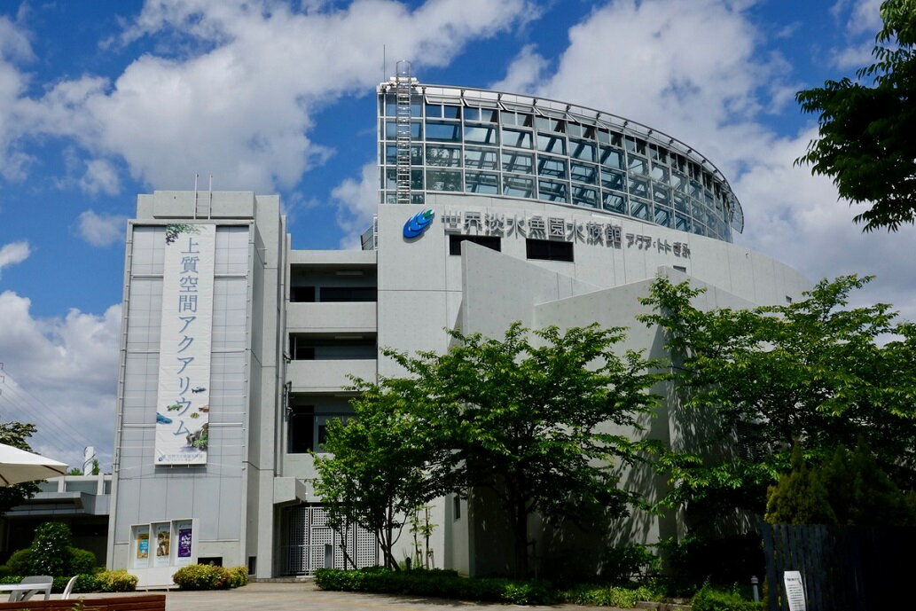 【ふるさと納税】世界淡水魚園水族館　アクア・トトぎふ　入館券（大人2枚）その2