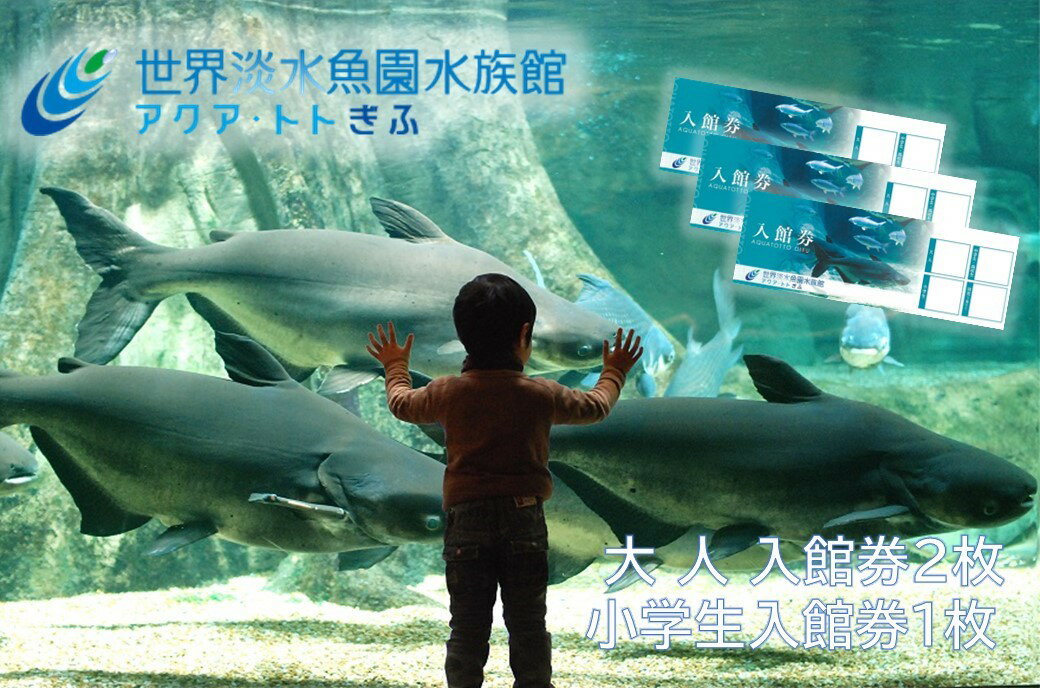 【ふるさと納税】世界淡水魚園水族館 アクア・トトぎふ 入館券(大人2枚・小学生1枚)