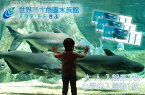 【ふるさと納税】世界淡水魚園水族館　アクア・トトぎふ　入館券（大人2枚・小学生1枚）