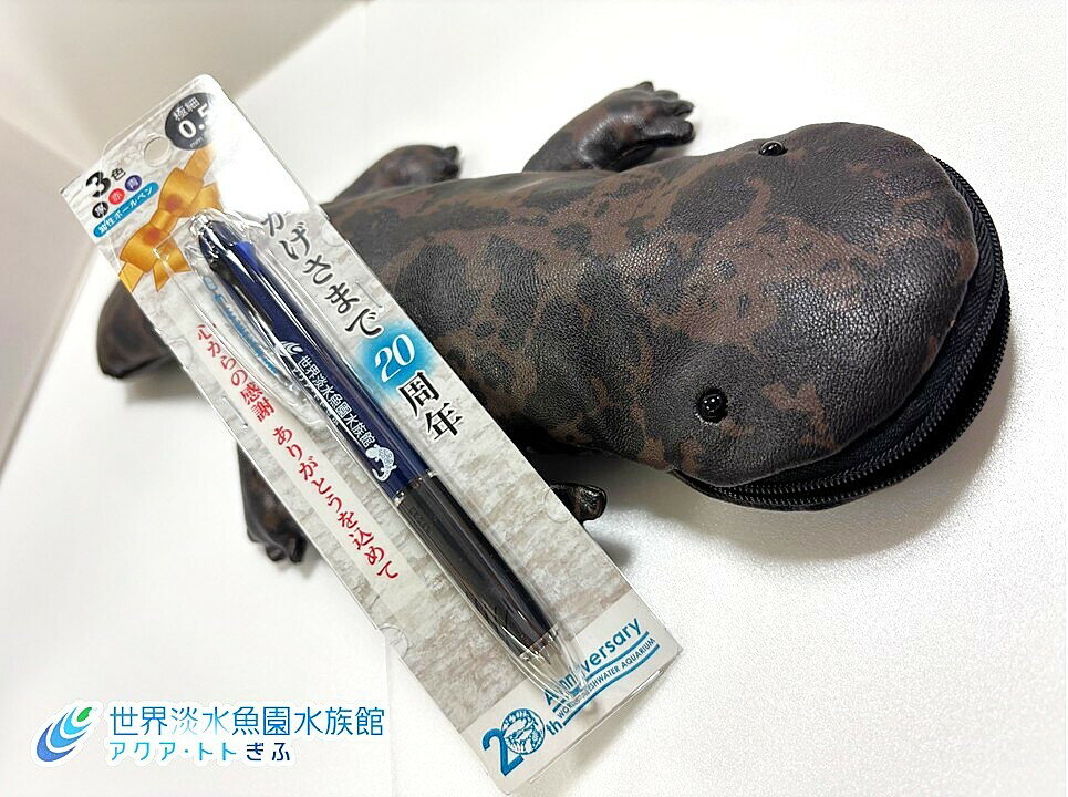 【ふるさと納税】世界淡水魚園水族館 アクア・トトぎふ オオサンショウウオペンケース+ボールペ ンその2