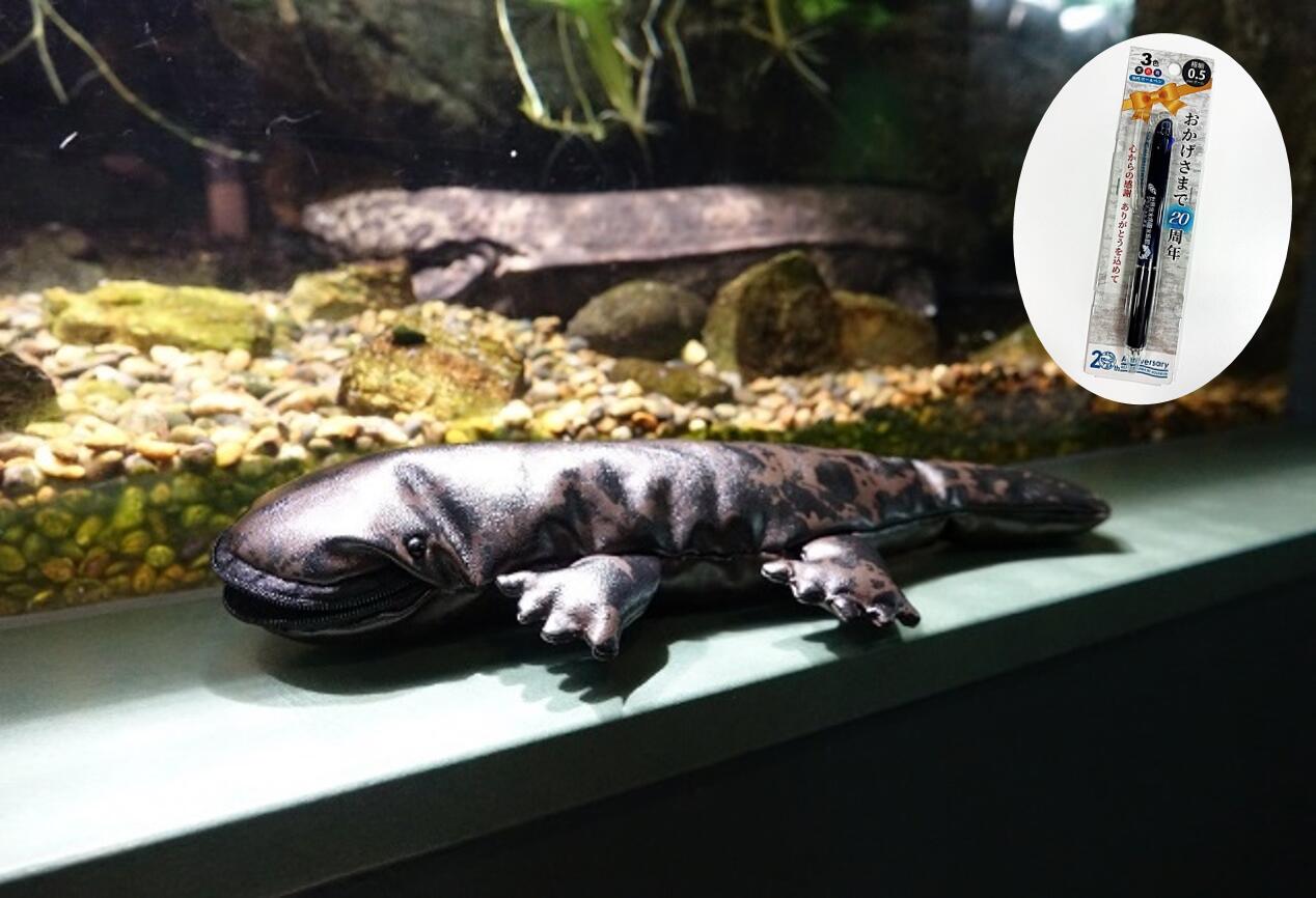 【ふるさと納税】世界淡水魚園水族館 アクア・トトぎふ オオサンショウウオペンケース+ボールペ ン