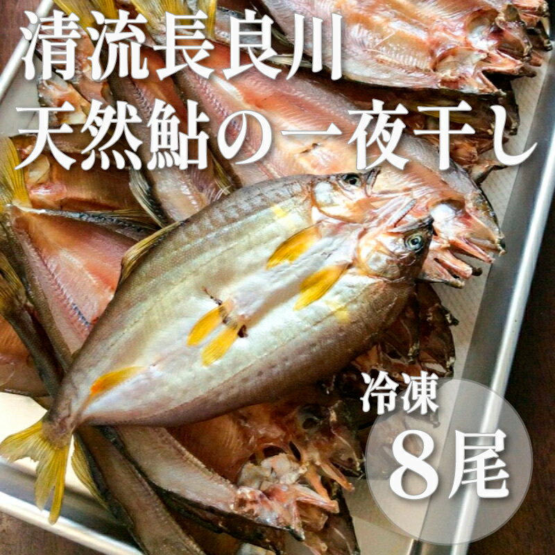 [皇室献上御料場近郊]川漁師の天然鮎/一夜干し