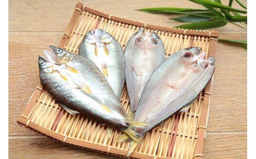 【ふるさと納税】【皇室献上御料場近郊】川漁師の天然鮎/一夜干し