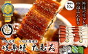 ご自宅用 蒲焼き 10尾 行列のできるうなぎ屋 岐阜鰻 たむろ ”極”鮎の塩焼き付き！