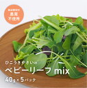 【ふるさと納税】葉が柔らかくて、味が濃い!!「岐阜県産」ミックスべビーリーフ【40g】×5セット