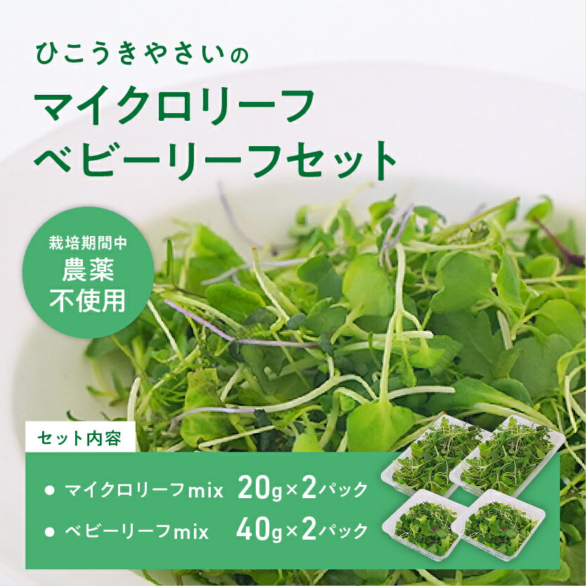 マイクロリーフミックス[20g]&ベビーリーフミックス[40g]健康野菜の食べ比べセット