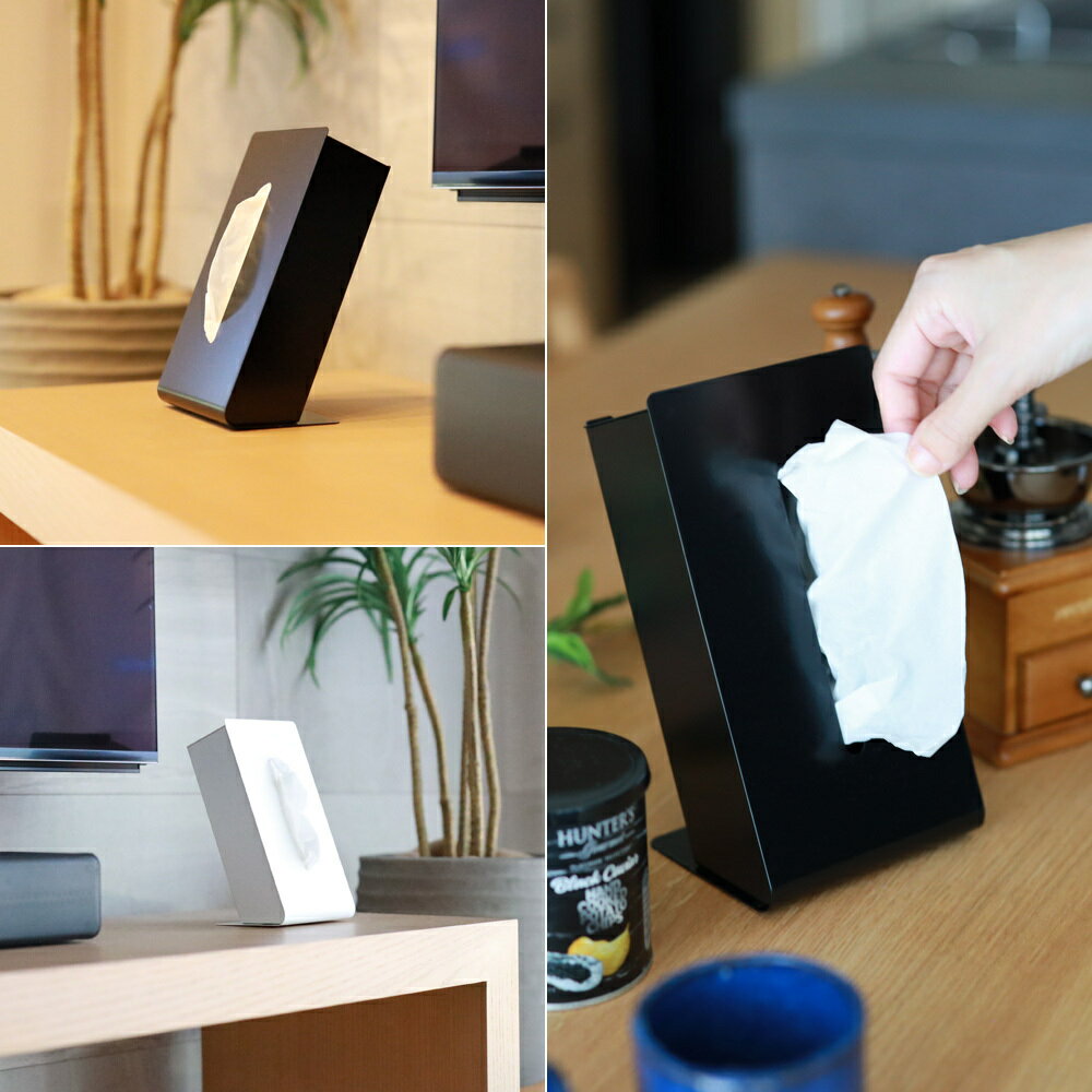 【ふるさと納税】TS10-02BK ZEOOR ソフトパック用ティッシュケース 縦型 ブラック