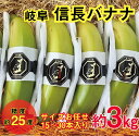【ふるさと納税】天下布武信長バナナ 約3kg サイズお任せ 国産 糖度25度前後 無農薬 無添加